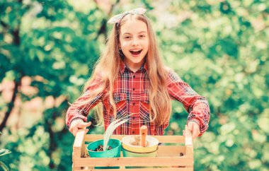 Bitkilerle çalışmak. Yaz çiftliği. Mutlu bir çocukluk. bahar köyü ülkesi. Ekoloji ortamı. Mutlu çocuklar günü. Bahçıvanlık aletleri olan küçük bir kız. Toprak günü. Ormandaki küçük kız