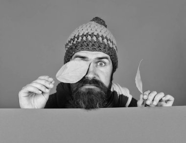 Sonbahar ve soğuk hava kavramı. Ekim ve Kasım zamanı