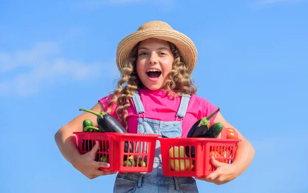 My job. harvest vitamin. spring market garden. little farmer. autumn harvest. surprised little girl vegetable in basket. Only natural. kid on summer farm. Organic food. healthy food for children