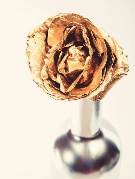 Attività di floristica. Vintage e gioielli. lusso e successo. decorazione metallizzata. concetto antico. fiore d'oro. arredamento negozio di fiori. bellezze naturali. Rosa d'oro. ricchezza e ricchezza. concetto di finanziamento — Foto Stock