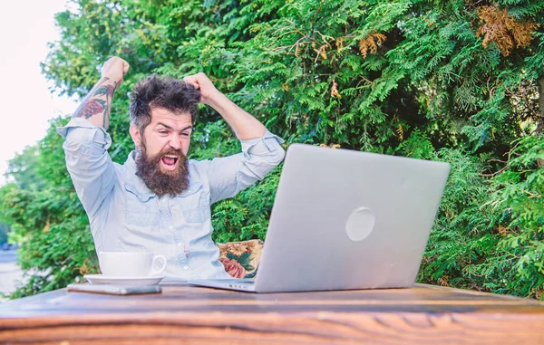 The more bet is the more winning will be. Happy hipster celebrating winning bet. Gamer making his bet in online casino with laptop computer. Bearded man placing bet in casino game