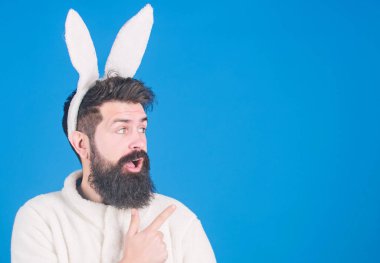 How about that. Bearded man in Easter rabbit costume pointing finger at something. Easter bunny is spring symbol of fertility. Man wearing rabbit ears. Hipster dressed for Easter party, copy space clipart