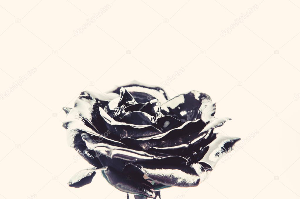 Forging and sculpture. Beautiful black silver flower. Floral shop. Metallic steel color. Flower covered metallic paint close up. Metal flower. Abstract art. Eternal beauty. Botany concept