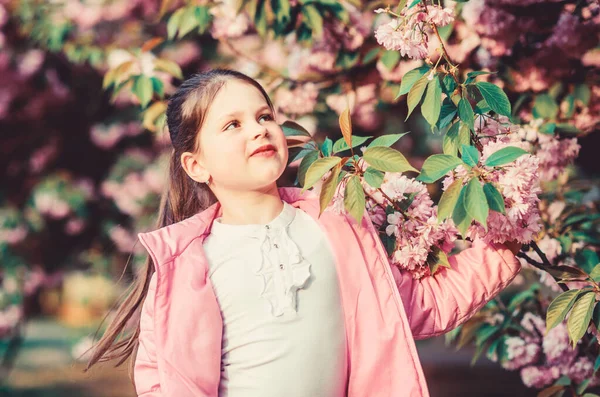 Geniet van de geur van zachte bloei zonnige dag. Sakura bloem concept. Prachtige bloem schoonheid. Meisje kersenbloem achtergrond. Fijne voorjaarsvakantie. Park en tuin. Meisje klein kind in de lente bloem bloei — Stockfoto