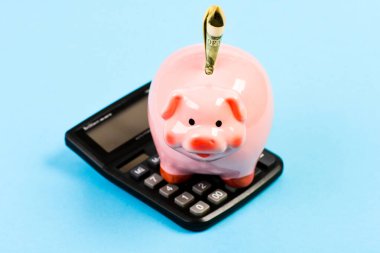 Piggy Bank Pembe Domuz dolar banknot ve hesap makinesi doldurdu. Finansal refah. Tasarruf hesabı. Tasarruf depozitosu tasarruf etmek için uygun esnek bir yoldur. Tasarruf. Ekonomi ve finans