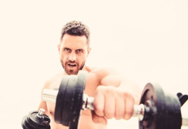 Kazanmak alışkanlıktır. Aptal egzersiz salonu. Dambılla egzersiz yapan kaslı bir adam. Güçlü gövdeli bir sporcu. Spor malzemeleri. Fitness ve vücut geliştirme sporu. Spor yaşam tarzı. Başarı seçimdir.