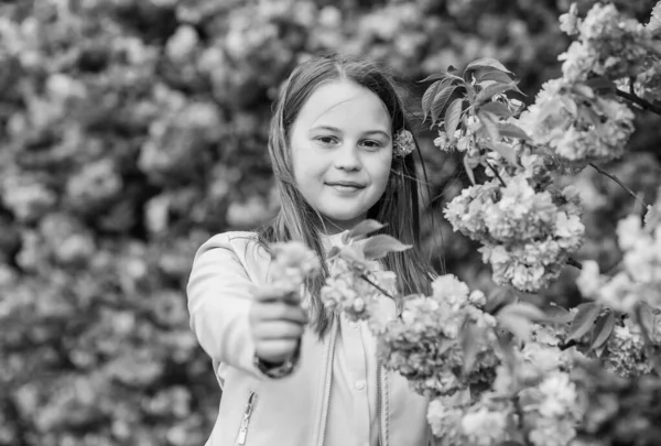 O miúdo gosta de sakura de flor de cereja. Miúdo em flores cor-de-rosa fundo árvore sakura. Remédio alérgico. Criança desfrutar da vida sem alergia. A cheirar flores. Menina desfrutando de aroma floral. Conceito de alergia ao pólen — Fotografia de Stock