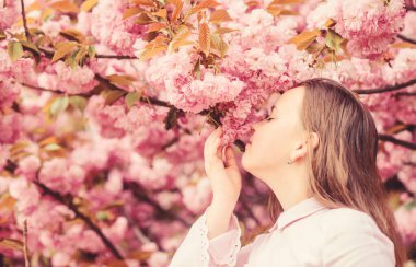 Mutlu bahar tatilleri. Botanik bahçesinde bahar. Bahar böyle kokar. Yumuşak bir çiçek. Küçük kız baharın tadını çıkarıyor. Sakura ağacının pembe çiçekleri üzerinde bir çocuk. Kiraz çiçekli sakuranın tadını çıkaran çocuk.