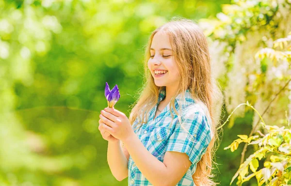 Летние каникулы. Зеленая среда. счастливый ребенок держит цветок радужки. Девочка и цветок радужки. Естественная красота. Детское счастье. Флорист. Весенние каникулы Женский день. Молодые и немолодые — стоковое фото