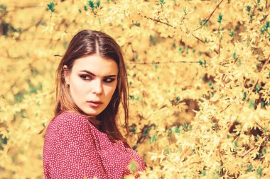 Doğal güzellik makyaj. Saç modası. Moda güzeli. Bahar çiçeğindeki seksi kadın. Güzel kadın cilt bakımı. Doğayı seven bir kız. Yazın açan ağaçlar ve sarı çiçekler. Çiçeklerin polene alerjisi var.