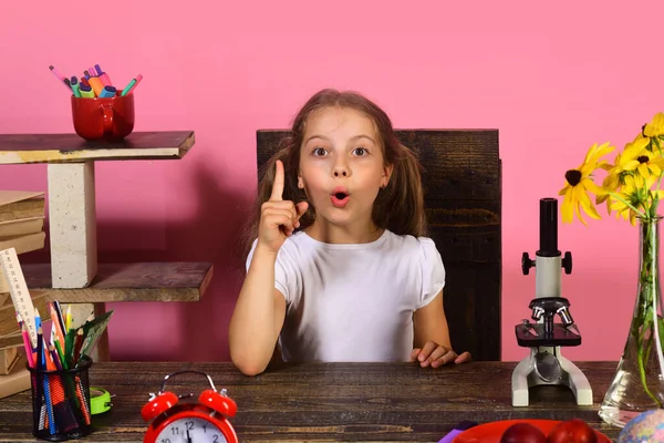 Educación y vuelta al concepto escolar. La colegiala tiene una nueva idea — Foto de Stock