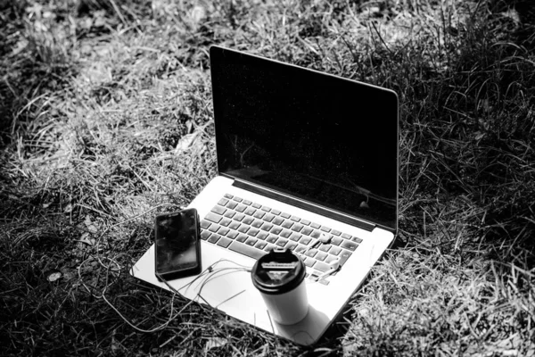 university students life. Online shopping. agile business. Online study. working place outdoor. Free music. computer with headset of mobile phone and coffee to go on green grass. summer vibes. Relax