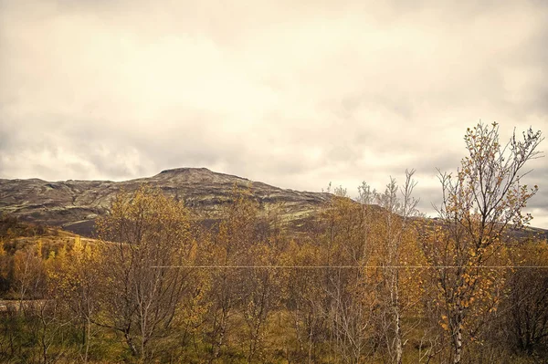 Yüksek dağlar. İzlanda 'da düşmek. İzlanda 'da çim tarlası olan manzara manzarası. Sonbahar manzarası bulutlu bir gün. İklim değişiklikleri. Doğa ve ekoloji. Sonbahar turu İzlanda doğası. Turizm ve seyahat — Stok fotoğraf