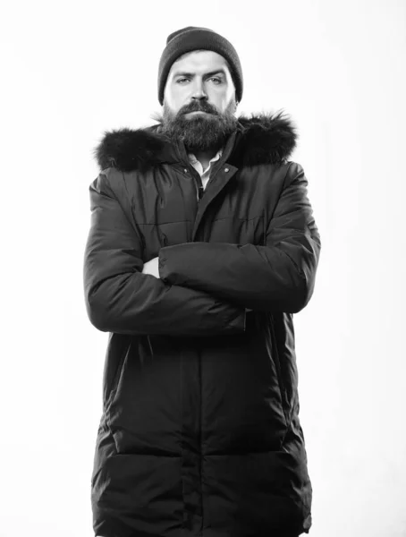 Weerbestendig jas concept. Winter seizoen herenkleding. Hood voegt warmte en weer weerstand. Man met baard stand warme jas parka geïsoleerd op een witte achtergrond. Hoe te kiezen van de beste winter jas — Stockfoto