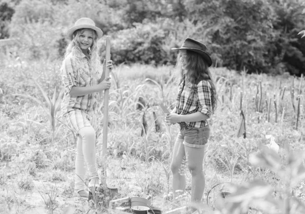 Концепция сельского хозяйства Выращиваю овощи. Надежда на хороший урожай. Сестры вместе помогают на ферме. Девочки сажают растения. Сельские дети работают в саду. Посадка и полив. Посадка овощей — стоковое фото