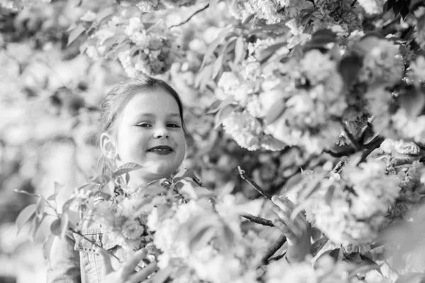 Meisje kleine kind in lente bloem Bloom. Geniet van de geur van tedere bloei zonnige dag. Sakura bloem concept. Prachtige bloem schoonheid. Meisje Cherry bloem achtergrond. Sakura boom bloeien. Park en de tuin — Stockfoto