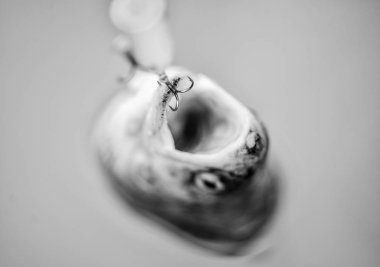 Balık tutmak için iyi bir gün. gölde balık tutmak. İyi bir av. kanca üzerinde balık. çıkmaz ve umutsuzluk. balıkçılık alabalık sinek. eğlence ve eğlence. alabalık yemi. balık yakalamak. tuzağa düşmek. hobi spor aktivitesi