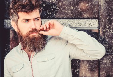 Sakallı adam dışarıda. Sakal bakımı ve berber dükkanı. Sakallı olgun hipster. mükemmel tarzı ile acımasız erkek. erkek moda ve güzellik. gür saçlı sakallı adam. Yeni saç kesimi zamanı