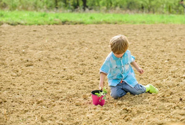 Child having fun with little shovel and plant in pot. Planting in field. Planting seedlings. Little helper in garden. Boy sit on ground planting flower in field. Fun time at farm. Gardening concept
