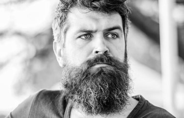 Sakallı adam yalnızlık hisseder. Sakallı olgun hipster. düşünceli adam açık. Yüz cilt bakımı. acımasız erkeğin berbere ihtiyacı var. beklemek ve tonuk. Acımasız sakallı erkek