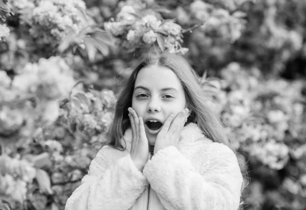 Flores como suaves nubes rosadas. Huele flores. Niño disfrutar de la primavera caliente. Chica disfrutando de aroma floral. Niño sobre flores rosadas de sakura fondo del árbol. Concepto botánico. Niño disfrutando de la flor de cerezo sakura — Foto de Stock