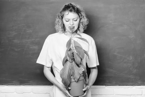 Cuida bien las plantas de interior. Niña mantenga la planta en maceta. Tienda de flores. Jardín casero. Beneficios de las plantas domésticas e influencia positiva en la salud. Plantas de interior fáciles. Botánica se trata de plantas flores y hierbas —  Fotos de Stock