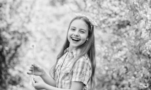 Divertimento de verão. Crenças folclóricas sobre dente-de-leão. Menina estilo rústico fazendo desejo e soprando dente-de-leão natureza fundo. Por que as pessoas desejam em dentes de leão. A celebrar o Verão. Dente de leão simbolismo completo — Fotografia de Stock