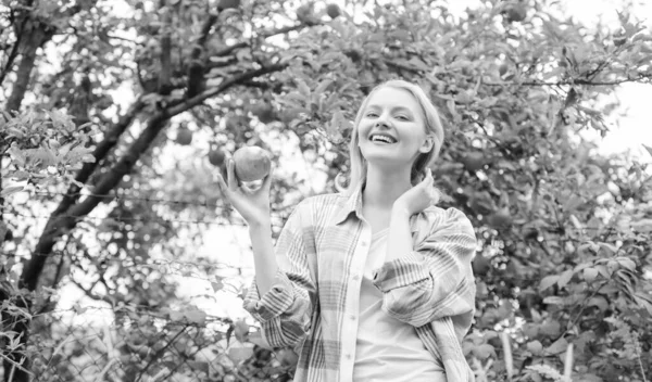 Žena drží jablečné zelené pozadí zahrady. Organický přírodní produkt. Dívka sbírá jablečnou sklizeň ve vlastní zahradě. Farmářka drží jablko. Koncepce místních plodin. Zdravý životní styl. Jezte ovoce každý den — Stock fotografie