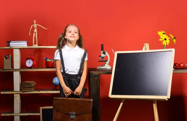 Educação e volta ao conceito de escola. Material escolar e infantil — Fotografia de Stock