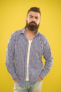 sarı arka planda sakallı kendine güvenen bir adam. Yaz kendine güvenen hipster adam cebinde el ele tutuşur. Erkek modası ve bahar stili. Olgun ciddi adam. Damalı gömlek acımasız sakallı hipster