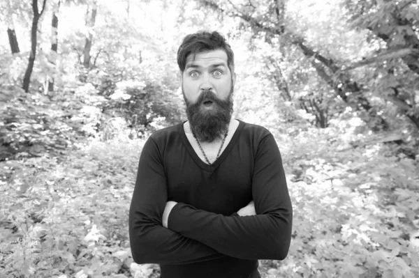 Bel homme avec barbe et moustache dans la nature. Brutalité du concept jungles. La saison chaude estivale. Nature sauvage. Homme barbu hipster fond de feuillage lumineux. Le gars se relaxe en forêt. Explorer la nature — Photo