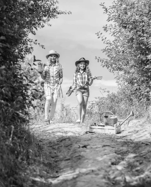 Concetto agricolo. Ragazze adorabili in cappelli che piantano piante. Fratelli e sorelle che si divertono in fattoria. Il concetto di agricoltura ecologica. Ragazze con attrezzi da giardinaggio. Sorelle che aiutano alla fattoria. Sulla strada per fattoria di famiglia — Foto Stock