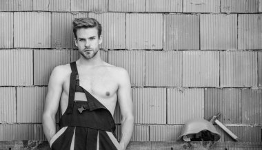 profesyonel tamirci sert şapka. çekiç aracı ile mühendis. mimar onarım ve düzeltme. bina ve inşaat. seksi işçi. iş kıyafetleri içinde adam oluşturucu. kopya alanı. en iyi inşaat şirketi