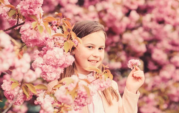 Szippantás virágok. Lány élvezi virágos aroma. Pollenallergia koncepció. Gyerek élvezi cseresznyevirág Sakura. Kid on rózsaszín virágok Sakura fa háttérben. Allergia orvoslása. Gyermek élvezni az életet allergia nélkül — Stock Fotó