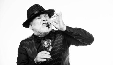 Cadılar Bayramı korkusu. kötü sihirbaz örümcek ile sihirli iksir pişirme. Cadılar Bayramınız Kutlu Olsun. barmen cadılar bayramı partisi için kokteyl yapmak. cadı şapkalı olgun adam sihirbaz. cadılar bayramı tatil kostümü