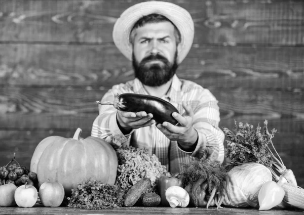 Excellent quality harvest. Organic fertilizers make harvest healthy and rich. Farmer with homegrown vegetables harvest. Organic pest control. Man with beard proud of his harvest wooden background
