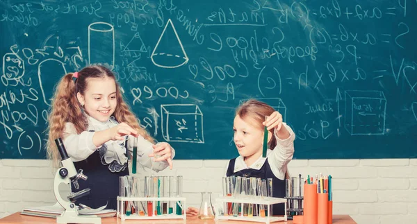 Girls on school chemistry lesson. Kids busy with experiment. School education. School laboratory partners. Chemical analysis. Test tubes with colorful substances. School equipment for laboratory