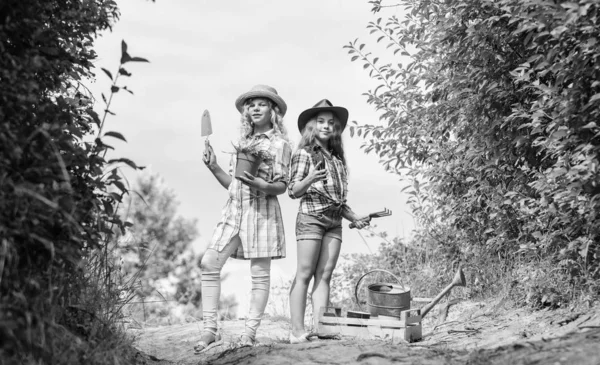 花の専門家。子供たちはガーデニングツールを持っています。農業と農業。春の国側。地球の日。夏の家族の農場。エコロジーと環境保護。村の小さな女の子農家 — ストック写真