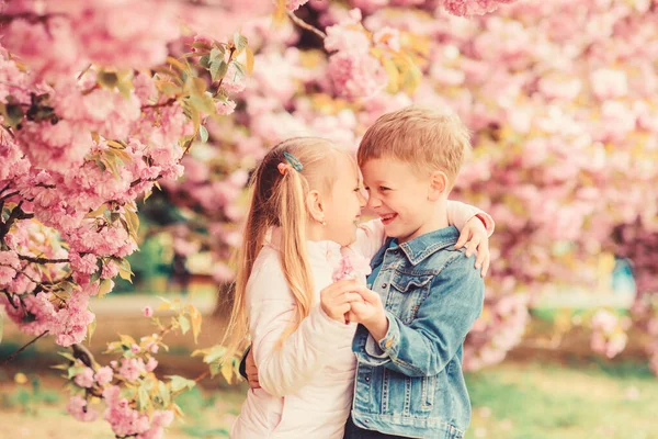 Pályázat szeretet érzése. Pár gyerek a virágok Sakura fa háttérben. Kislány élvezi tavaszi virágok. Hogy minden virágot neki. Meglepő neki. Gyerekek élvezik rózsaszín cseresznyevirág. Romantikus kisbabák — Stock Fotó