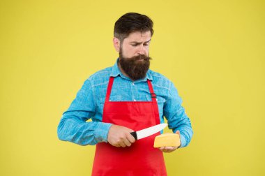 Uzman peynir tadı. Ciet ve beslenme. Ciddi sakallı adam peyniri bıçakla kesti. Peynir yapma konsepti. Peynir üreticisinin kendi işi. Şef önlüklü hippi sakalı. Süt ürünleri dükkanı. Peynir festivali