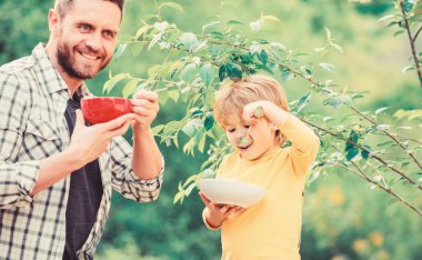 Lezzetli yulaf lapası Organik beslenme. Sağlıklı beslenme konsepti. Beslenme alışkanlıkları. Aile ev yapımı yemeğin tadını çıkarır. Sağlıklı kahvaltı. Baba oğul yemek yiyor. Küçük çocuk ve babası yemek yiyor. Besleyici çocuklar ve yetişkinler