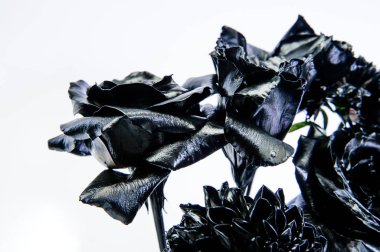 Metal çiçek. Sahtecilik ve heykel. Güzel siyah gümüş çiçek. Metalik çelik rengi. Çiçek dükkanı. Çiçek kaplı metalik boya. Soyut sanat. Sonsuz güzellik. Moda buketi. Botanik kavramı