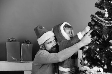 Noel ailesi köknar ağacını yeşil arka planda süsledi