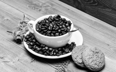 Taze kavrulmuş kahve çekirdekleri. Kafein konsepti. Cafe içecekler menüsü. Arabica robusta kahve çeşidini. İlham ve enerji şarjı için içecek. Fincan tam kahve kahverengi kavrulmuş fasulye mavi ahşap arka plan