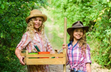 Bahçıvanlık temelleri. Bahçıvanlık hayat döngüsü süreci. Kırsal kesimde yaz. Bahçe işleri için aletleri olan çocuklar. Harika bahçeler çocuklar için anlamlı ve eğlenceli öğrenme deneyimleri barındırır.