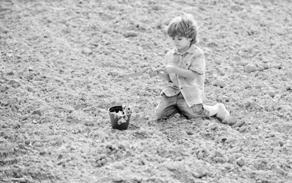 Día de la Tierra. Eco vida. granja de verano. la vida ecológica. eco granja. humano y la naturaleza. niño feliz siembra en suelo rico. Temporada de primavera. Un niño pequeño plantando una flor. plantación agrícola ecológica. en un invernadero —  Fotos de Stock