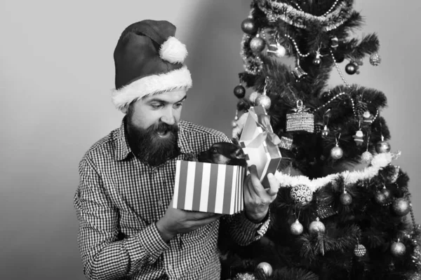 Santa holds little dog near Christmas tree. — Stock Photo, Image