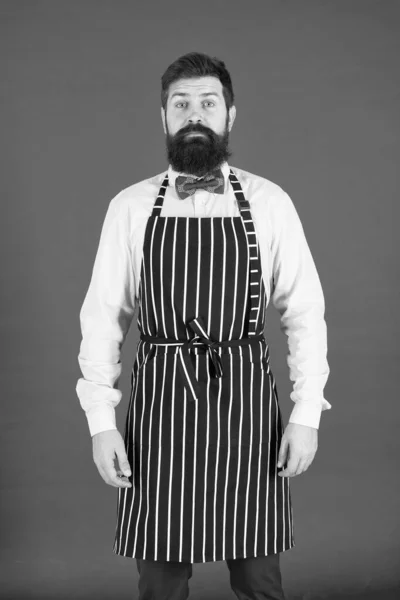 Tamamen senin hizmetindeyim. Bir erkek hizmetçi. Önlük giyen sakallı adam. Man yemek önlük sakallı ve bıyıklı pişirin. Zarif garson adam veya barmen — Stok fotoğraf
