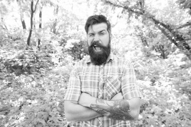 Göz kırpmak. Yaz manzarasında beyaz adam. Beyaz suratlı traşsız sakallı sakallı adam. Beyaz Avrupalı adam kollarını açık havada tutuyor. Rahat bir tarzda Kafkas hipster