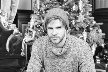 Sıcak şapkalı maço, kazak oturup Noel ağacı